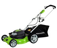 Greenworks 25022: offers reviews and price [year]