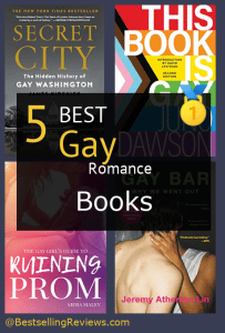Gay romance book